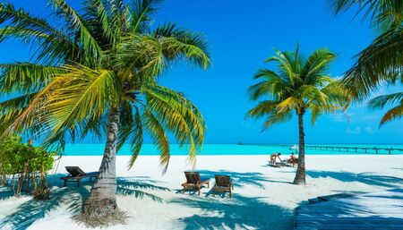 MALDIVE